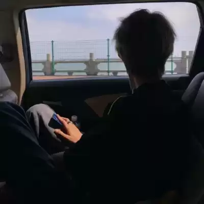 公凡梦